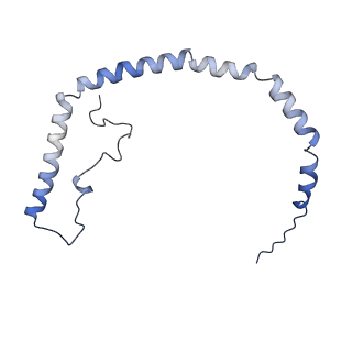 25007_7sc0_A_v1-0
CryoEM structure of the Caveolin-1 8S complex