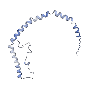 25007_7sc0_B_v1-0
CryoEM structure of the Caveolin-1 8S complex
