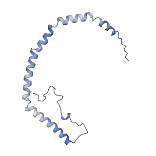 25007_7sc0_C_v1-0
CryoEM structure of the Caveolin-1 8S complex