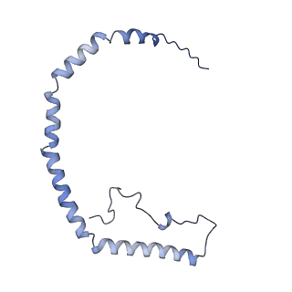 25007_7sc0_D_v1-0
CryoEM structure of the Caveolin-1 8S complex