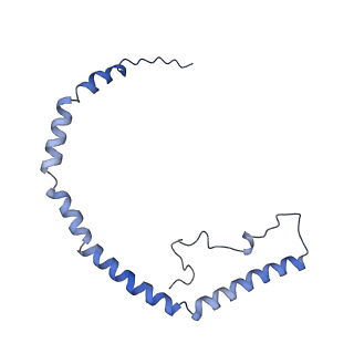 25007_7sc0_E_v1-0
CryoEM structure of the Caveolin-1 8S complex