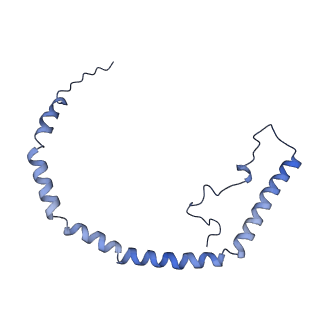 25007_7sc0_F_v1-0
CryoEM structure of the Caveolin-1 8S complex