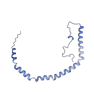 25007_7sc0_G_v1-0
CryoEM structure of the Caveolin-1 8S complex