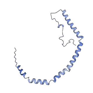25007_7sc0_H_v1-0
CryoEM structure of the Caveolin-1 8S complex