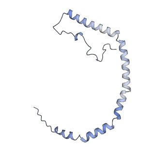 25007_7sc0_I_v1-0
CryoEM structure of the Caveolin-1 8S complex