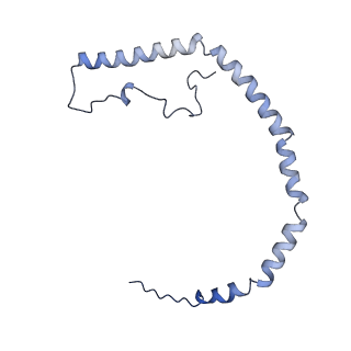 25007_7sc0_J_v1-0
CryoEM structure of the Caveolin-1 8S complex