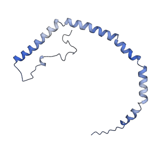 25007_7sc0_K_v1-0
CryoEM structure of the Caveolin-1 8S complex