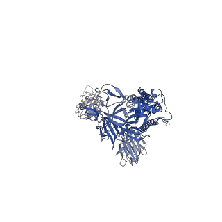 25008_7sc1_B_v1-0
Structure of the SARS-CoV-2 S 6P trimer in complex with the human neutralizing antibody Fab fragment, R40-1G8