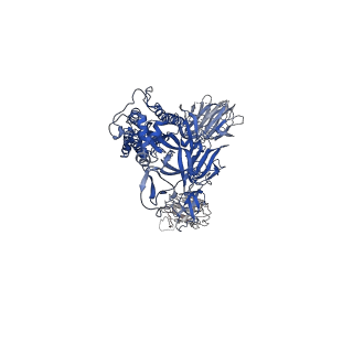 25008_7sc1_C_v1-0
Structure of the SARS-CoV-2 S 6P trimer in complex with the human neutralizing antibody Fab fragment, R40-1G8