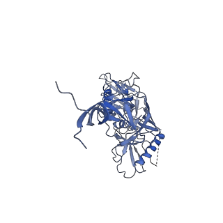 25022_7sc5_A_v1-1
Cytoplasmic tail deleted HIV Env trimer in nanodisc