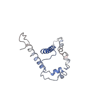 25022_7sc5_B_v1-1
Cytoplasmic tail deleted HIV Env trimer in nanodisc