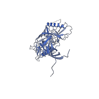 25022_7sc5_C_v1-1
Cytoplasmic tail deleted HIV Env trimer in nanodisc