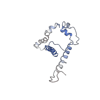 25022_7sc5_D_v1-1
Cytoplasmic tail deleted HIV Env trimer in nanodisc