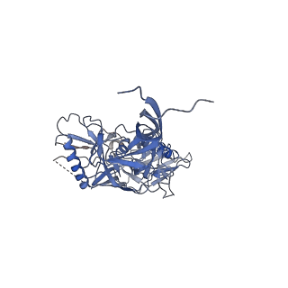 25022_7sc5_E_v1-1
Cytoplasmic tail deleted HIV Env trimer in nanodisc