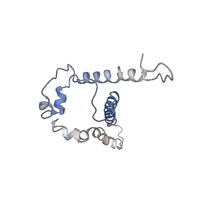 25022_7sc5_F_v1-1
Cytoplasmic tail deleted HIV Env trimer in nanodisc