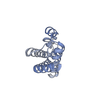25028_7sc7_AA_v1-2
Synechocystis PCC 6803 Phycobilisome core from up-down rod conformation