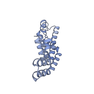 25028_7sc7_AB_v1-2
Synechocystis PCC 6803 Phycobilisome core from up-down rod conformation