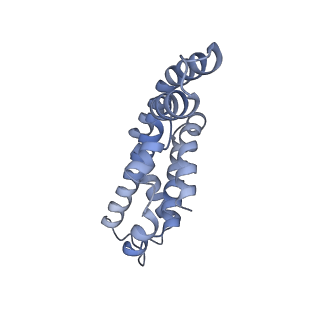 25028_7sc7_AC_v1-2
Synechocystis PCC 6803 Phycobilisome core from up-down rod conformation