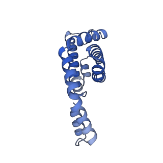 25028_7sc7_AE_v1-2
Synechocystis PCC 6803 Phycobilisome core from up-down rod conformation