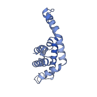 25028_7sc7_AF_v1-2
Synechocystis PCC 6803 Phycobilisome core from up-down rod conformation