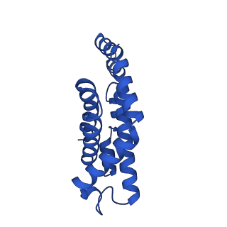 25028_7sc7_AJ_v1-2
Synechocystis PCC 6803 Phycobilisome core from up-down rod conformation
