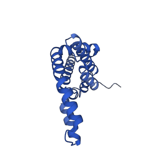 25028_7sc7_AK_v1-2
Synechocystis PCC 6803 Phycobilisome core from up-down rod conformation