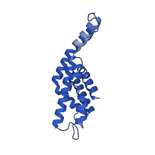 25028_7sc7_AL_v1-2
Synechocystis PCC 6803 Phycobilisome core from up-down rod conformation