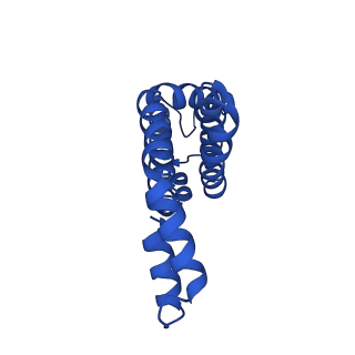 25028_7sc7_AN_v1-2
Synechocystis PCC 6803 Phycobilisome core from up-down rod conformation