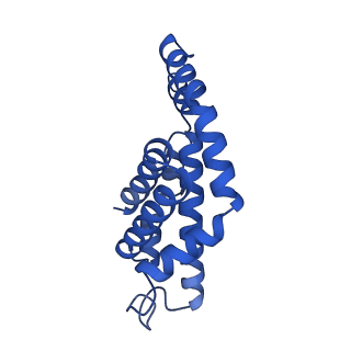 25028_7sc7_AO_v1-2
Synechocystis PCC 6803 Phycobilisome core from up-down rod conformation