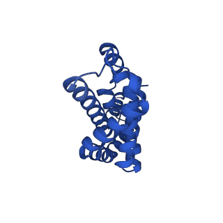 25028_7sc7_AP_v1-2
Synechocystis PCC 6803 Phycobilisome core from up-down rod conformation