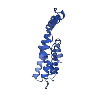 25028_7sc7_AR_v1-2
Synechocystis PCC 6803 Phycobilisome core from up-down rod conformation