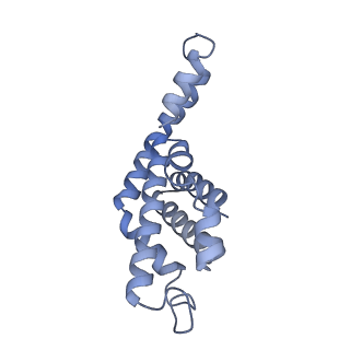 25028_7sc7_AW_v1-2
Synechocystis PCC 6803 Phycobilisome core from up-down rod conformation