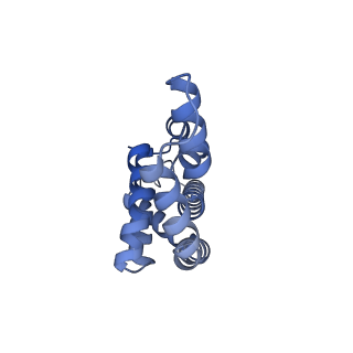 25028_7sc7_AX_v1-2
Synechocystis PCC 6803 Phycobilisome core from up-down rod conformation