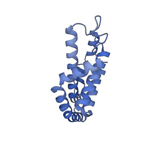 25028_7sc7_AY_v1-2
Synechocystis PCC 6803 Phycobilisome core from up-down rod conformation