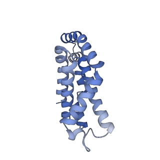 25028_7sc7_AZ_v1-2
Synechocystis PCC 6803 Phycobilisome core from up-down rod conformation
