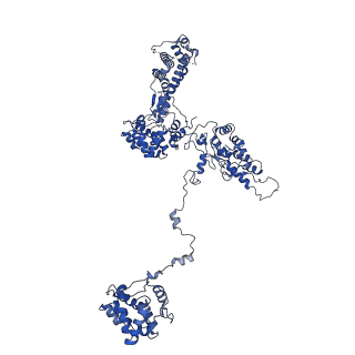 25028_7sc7_BD_v1-2
Synechocystis PCC 6803 Phycobilisome core from up-down rod conformation