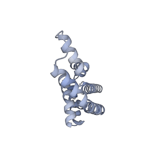 25028_7sc7_BH_v1-2
Synechocystis PCC 6803 Phycobilisome core from up-down rod conformation