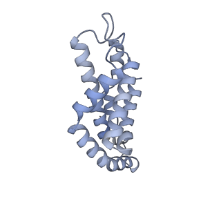 25028_7sc7_BI_v1-2
Synechocystis PCC 6803 Phycobilisome core from up-down rod conformation