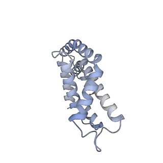 25028_7sc7_BJ_v1-2
Synechocystis PCC 6803 Phycobilisome core from up-down rod conformation