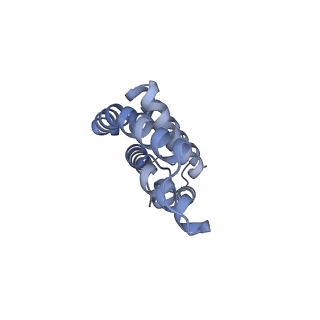 25028_7sc7_BK_v1-2
Synechocystis PCC 6803 Phycobilisome core from up-down rod conformation