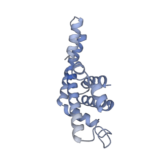 25028_7sc7_BM_v1-2
Synechocystis PCC 6803 Phycobilisome core from up-down rod conformation