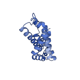 25028_7sc7_BO_v1-2
Synechocystis PCC 6803 Phycobilisome core from up-down rod conformation
