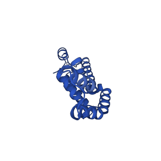 25028_7sc7_BP_v1-2
Synechocystis PCC 6803 Phycobilisome core from up-down rod conformation