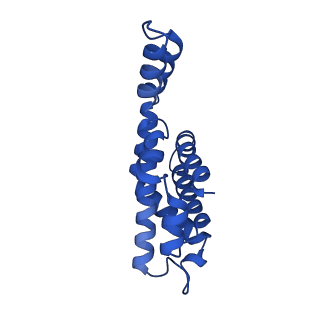 25028_7sc7_BQ_v1-2
Synechocystis PCC 6803 Phycobilisome core from up-down rod conformation