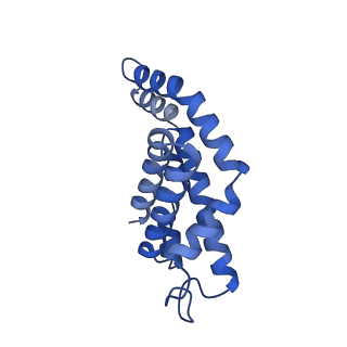 25028_7sc7_BS_v1-2
Synechocystis PCC 6803 Phycobilisome core from up-down rod conformation