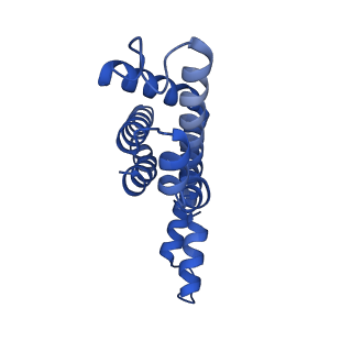 25028_7sc7_BU_v1-2
Synechocystis PCC 6803 Phycobilisome core from up-down rod conformation