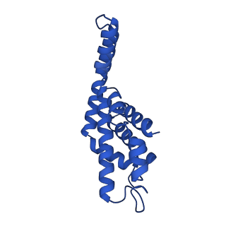 25028_7sc7_BV_v1-2
Synechocystis PCC 6803 Phycobilisome core from up-down rod conformation