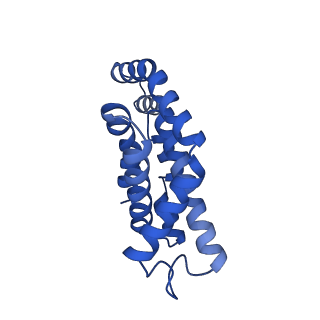 25028_7sc7_BY_v1-2
Synechocystis PCC 6803 Phycobilisome core from up-down rod conformation