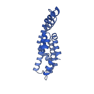 25028_7sc7_CB_v1-2
Synechocystis PCC 6803 Phycobilisome core from up-down rod conformation