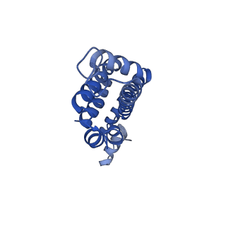 25028_7sc7_CC_v1-2
Synechocystis PCC 6803 Phycobilisome core from up-down rod conformation